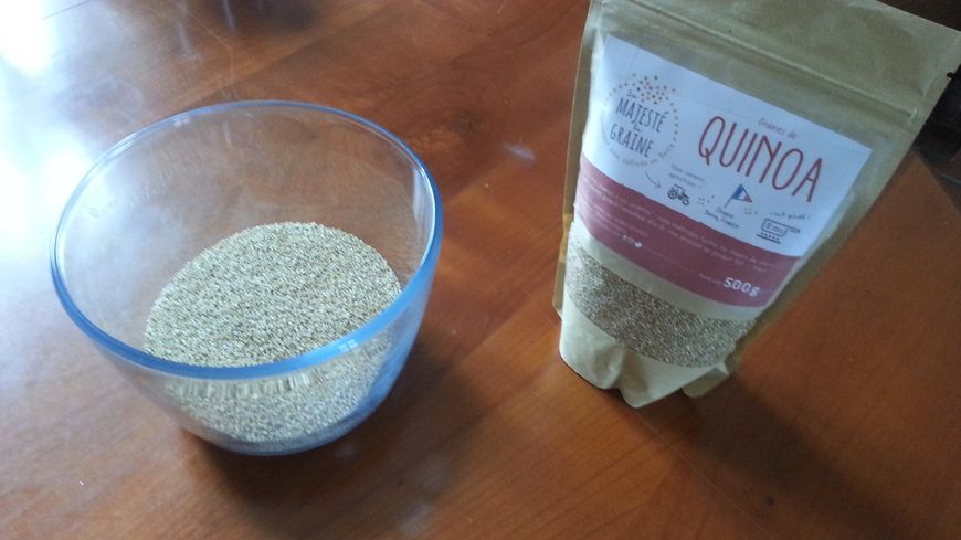 Présentation des graines de Quinoa de Sa Majesté la Graine.