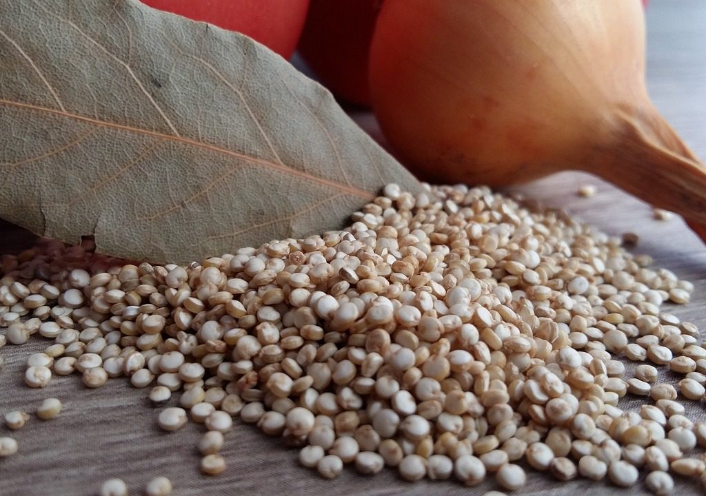 Présentation des graines de Quinoa.